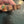 Load image into Gallery viewer, Jasper Fairy