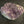 Load image into Gallery viewer, Amethyst Druze on stand 4 x3 1/4