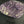 Load image into Gallery viewer, Amethyst Druze on stand 4 x3 1/4
