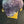 Load image into Gallery viewer, Amethyst Druze on stand 4 x3 1/4