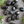 Load image into Gallery viewer, Black Tourmaline tumbled stone