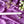 Load image into Gallery viewer, Massage Wand Reflexology Selenite