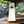 Load image into Gallery viewer, Nitiraj Incense 25gr - Goddess