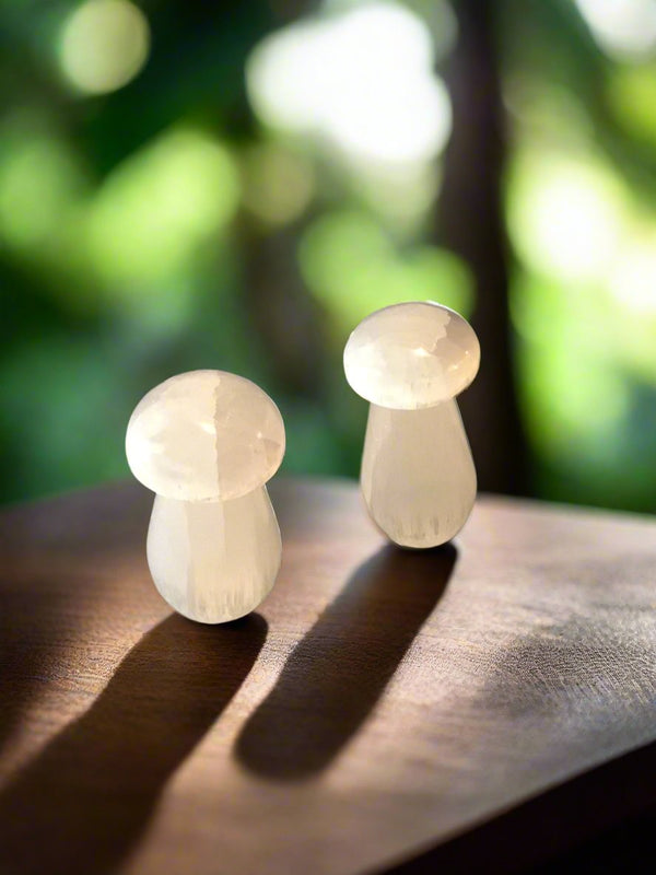 Selenite mushroom-small