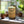 Load image into Gallery viewer, Goloka Backflow Cones 1 Can of 24 - Palo Santo