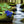 Load image into Gallery viewer, Mini Fidget dragon