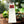Load image into Gallery viewer, Nitiraj Incense 25gr - English Rose