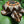 Load image into Gallery viewer, Turtle Karimbu