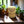 Load image into Gallery viewer, Goloka Backflow Cones 1 Can of 24 - Lavender