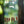 Load image into Gallery viewer, Wood Pendulum Assorted Shapes