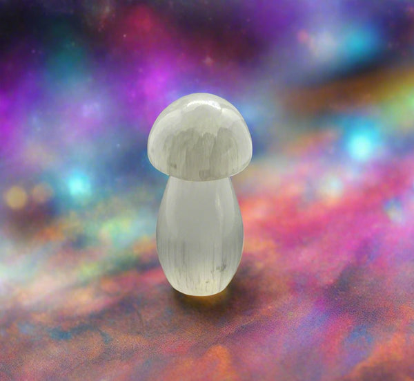 Small mushroom Selenite