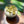 Load image into Gallery viewer, Green Opal