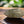 Load image into Gallery viewer, Citrine point