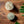 Load image into Gallery viewer, Desert Rose Selenite