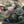 Load image into Gallery viewer, Rainbow Fluorite