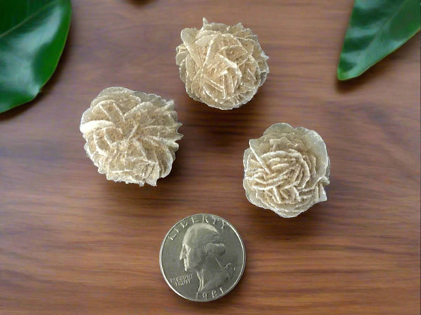 Desert Rose Selenite