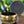 Load image into Gallery viewer, Medium Om Singing Bowl Black and Gold | Embossed 5.5 Inch
