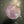 Load image into Gallery viewer, Amethyst and Quartz Sphere 6.4oz
