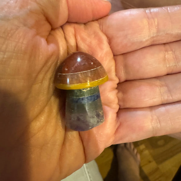 Chakra Mushroom