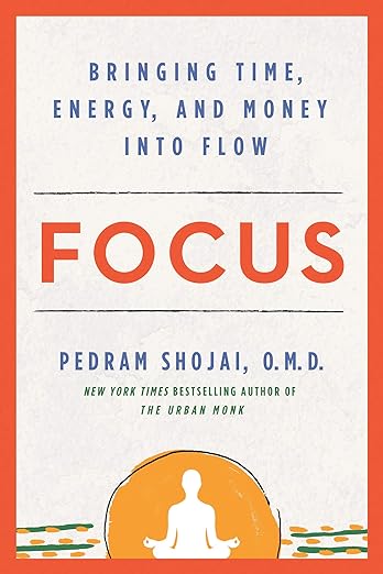 Focus: Bringing Time, Energy, and Money into Flow Paperback