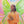 Load image into Gallery viewer, Manifesting with the Fairies Oracle Deck - 44 Cards and Guidebook by Karen Kay
