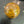 Load image into Gallery viewer, Tiger's Eye Sphere
