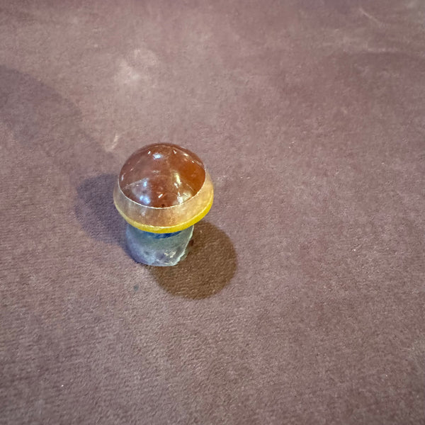Chakra Mushroom