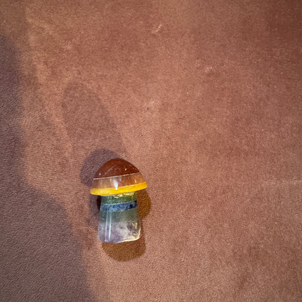 Chakra Mushroom