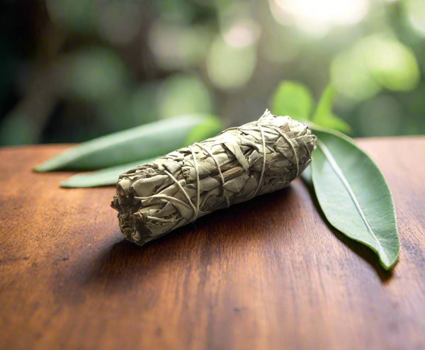 Small White Sage Smudge Stick