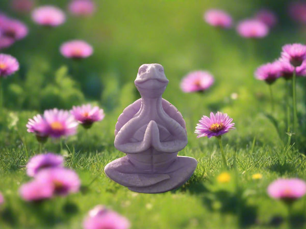 Zen Turtle 3d