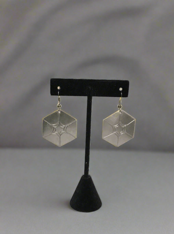 Venture Import earrings