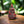 Load image into Gallery viewer, Polyresin Figurine 3.75-inch Meditating Quan Yin Redstone
