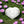 Load image into Gallery viewer, Selenite Heart - Om Lotus
