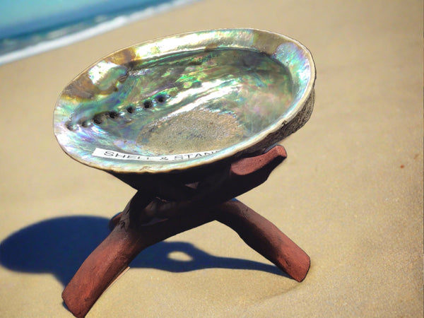 Abalone Shell Smudge large. with stand