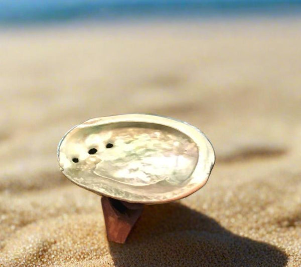 Abalone Shell Smudge Bowl with stand-mini