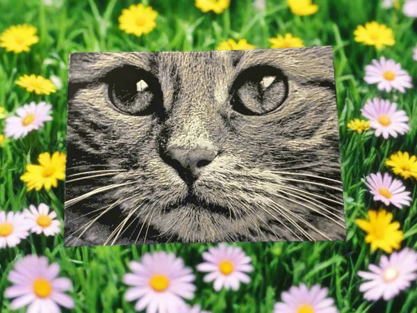3 D printed cat picture