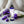 Load image into Gallery viewer, Moonwater Elixirs - Soothing Sleep Mist 8oz - Lavender &amp; Clary Sage*
