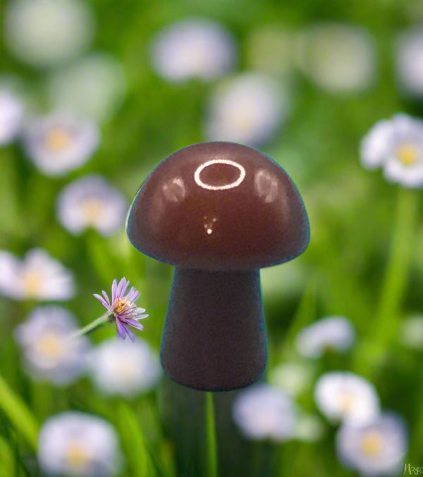 Carnelian Mini Mushroom