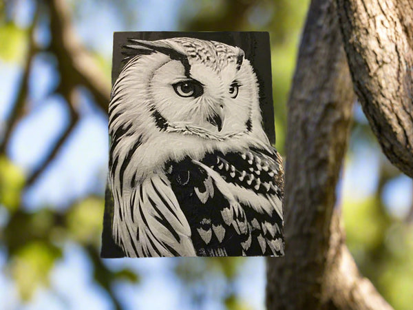 3 D printed owl picture