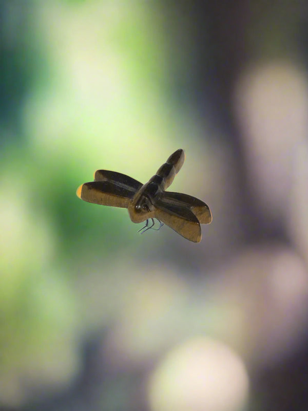 Tigers eye dragonfly*