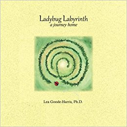 Ladybug Labyrinth: A Journey Home