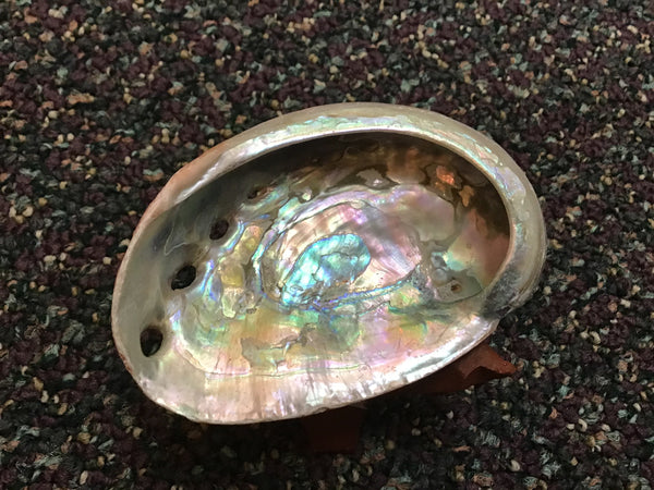 Abalone Shell Smudge Bowl mini with stand