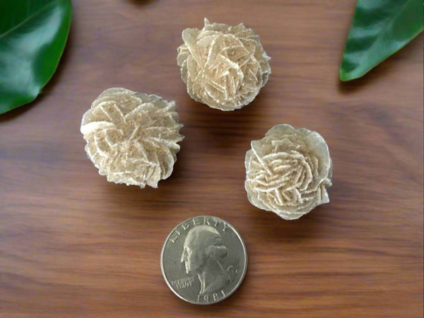 Desert Rose Selenite*